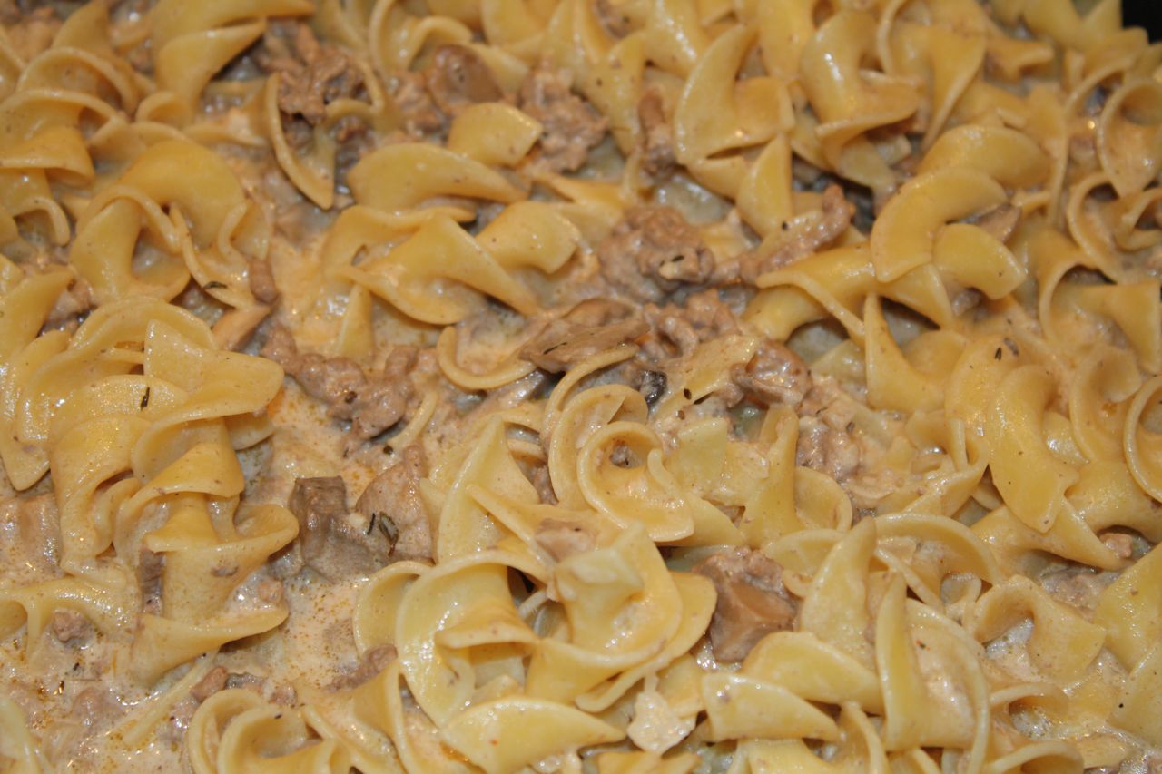 The Roediger House Meal No 211 Ground Beef Stroganoff