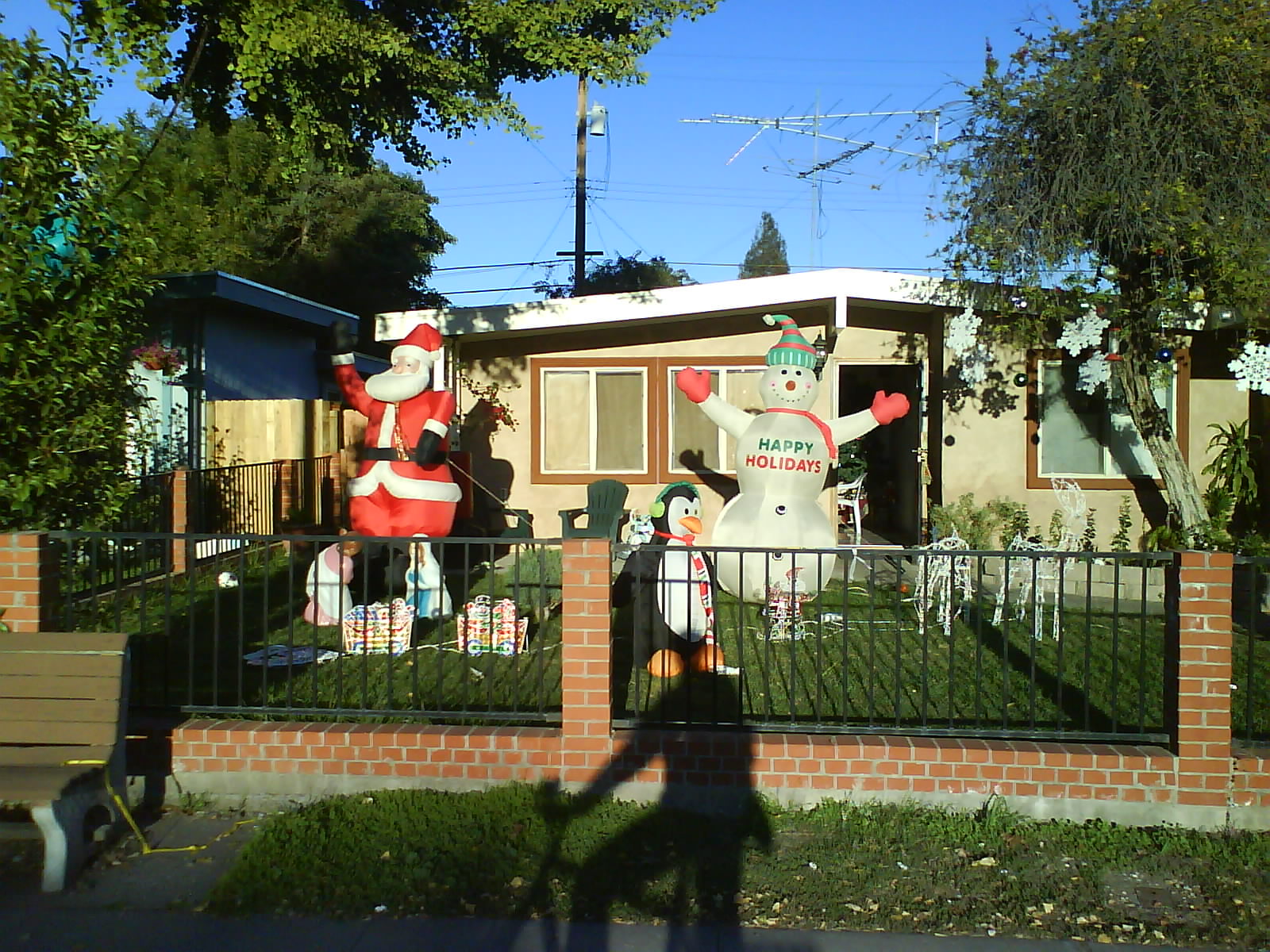 [DSC00161.JPG]