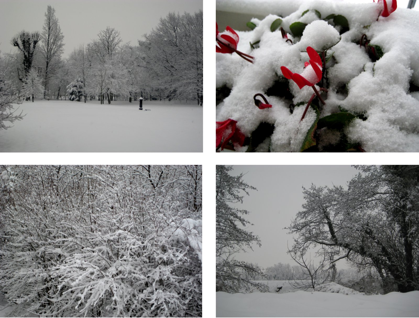 [neve_blog.jpg]