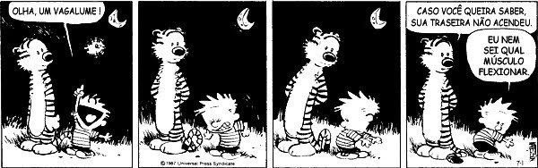 [Calvin+-+vagalume.jpg]