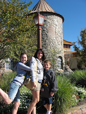 Viking Village at Epcot