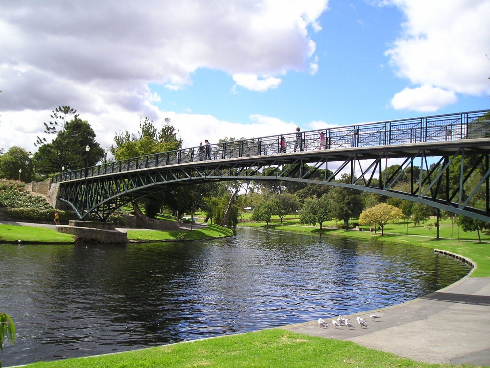 [bridge.JPG]