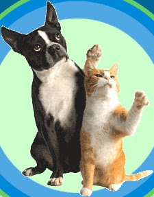 http://3.bp.blogspot.com/_EGnJxWK8_EI/Rk_6F17OI9I/AAAAAAAAABU/p_PG0VQt6cQ/s320/goodbye+gif+cat+and+dog.bmp