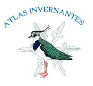 [ATLAS-INVERNANTES-LOGO.jpg]