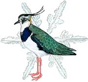 [Atlas-invernantes.jpg]