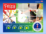 FEISA's website