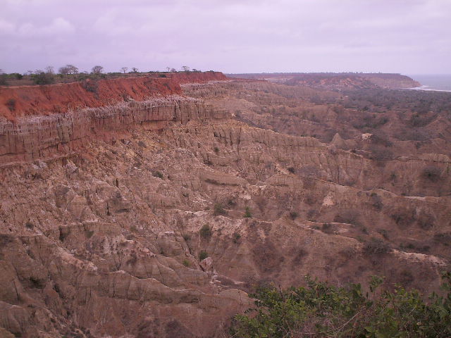 [IMG_0079.JPG]
