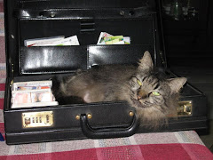 Alley looking after boss's briefcase