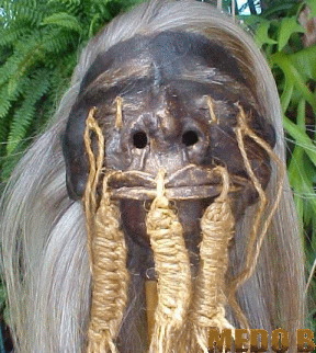 [cabecaencolhida3.gif]