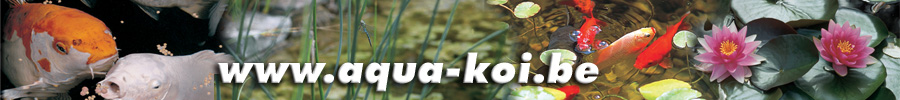 Aqua-Koi bij Mag Noy