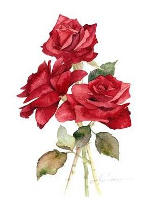 http://3.bp.blogspot.com/_EJBlgbzA3Tw/THwJGc2HtuI/AAAAAAAAABw/FdGC0FeXvGg/s1600/rosas-espinas2.jpg