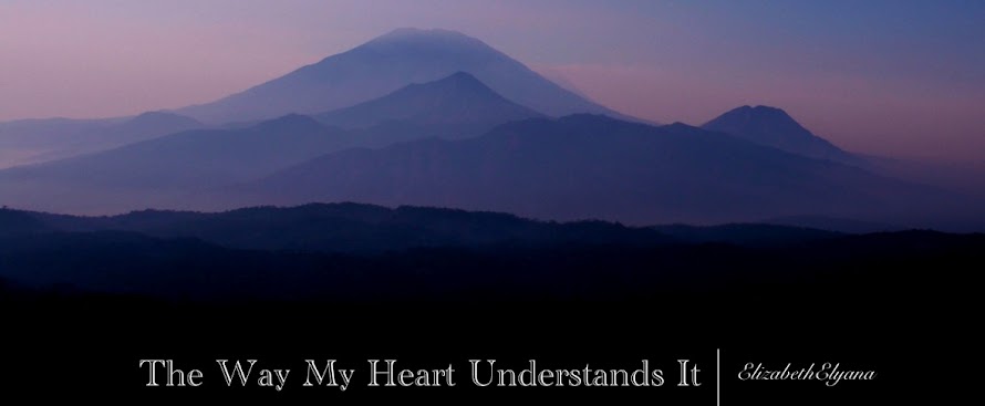 The Way My Heart Understands It