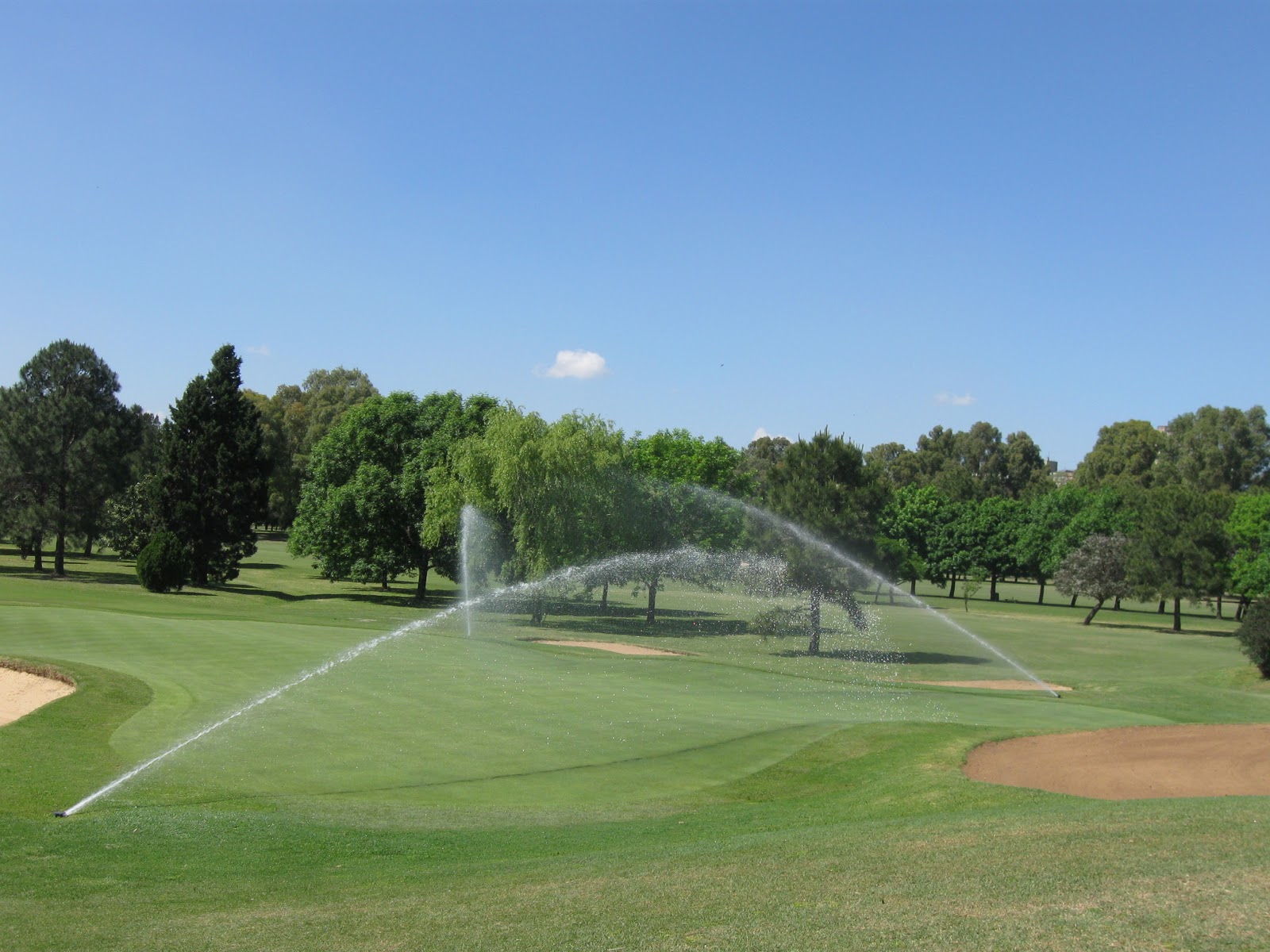 Jardines EEMN2: octubre 2010