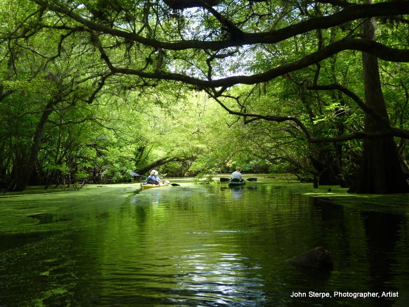 Roving Reports by Doug P 201012 Otter Springs Florida Road trip