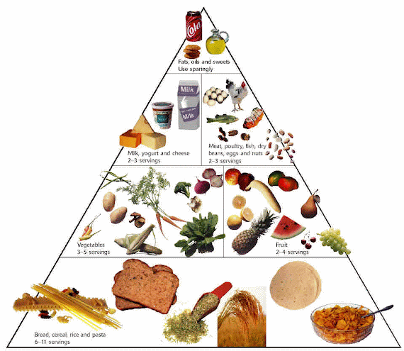 Healthy+lifestyle+pyramid