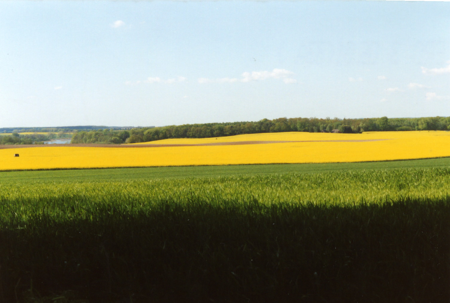 [PrimaveraLago5.jpg]