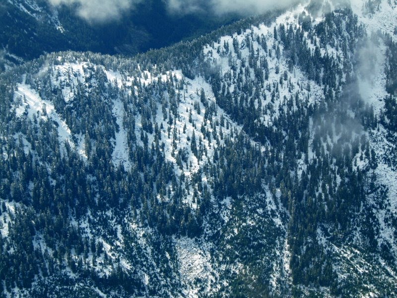 [FLY+-+New+Snow.JPG]