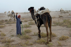 A Man and his Camel