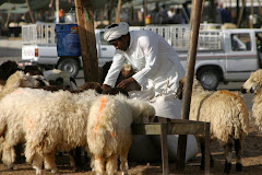 Sheep Stalls at the Friday Market