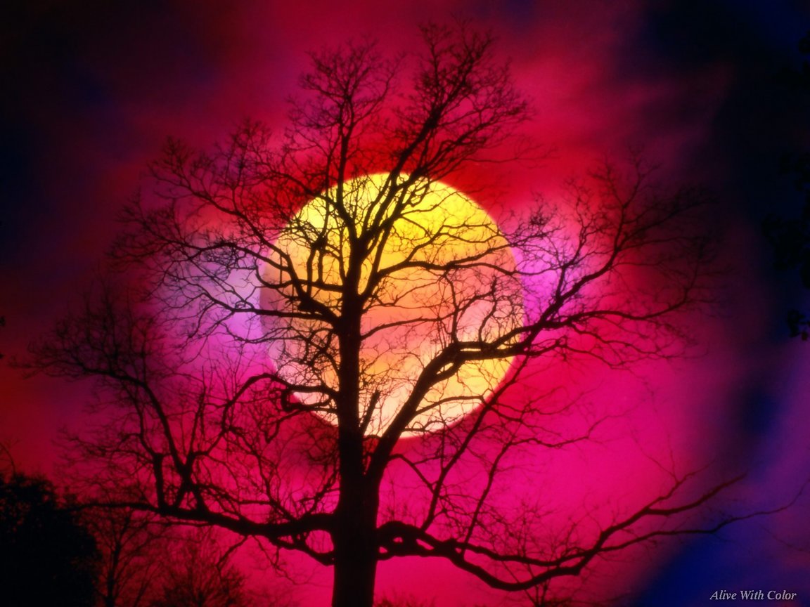 http://3.bp.blogspot.com/_EMpWvl4wjFo/TKYMVvavaFI/AAAAAAAAA-o/4QXUQIVLZ8Q/s1600/12265.jpg