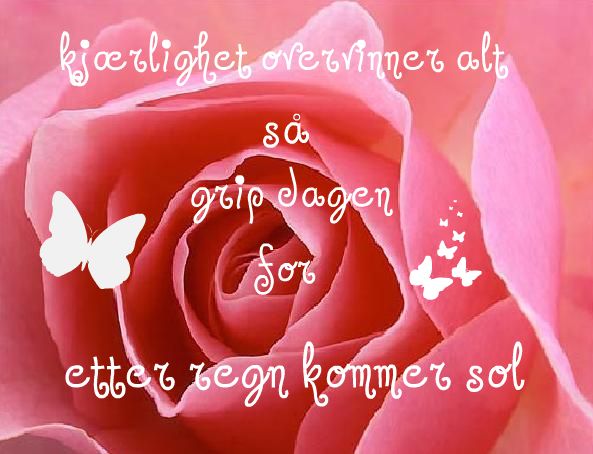 Carpe Diem