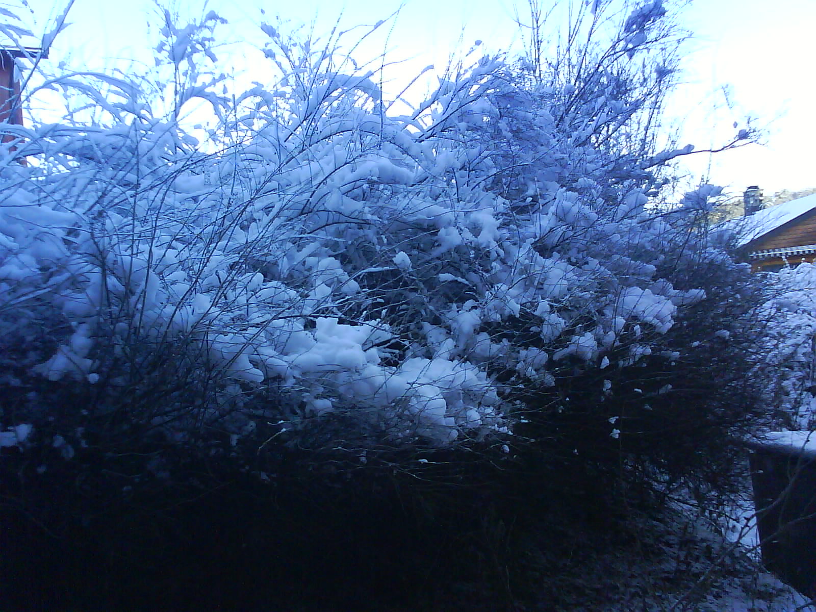 [DSC01032.JPG]