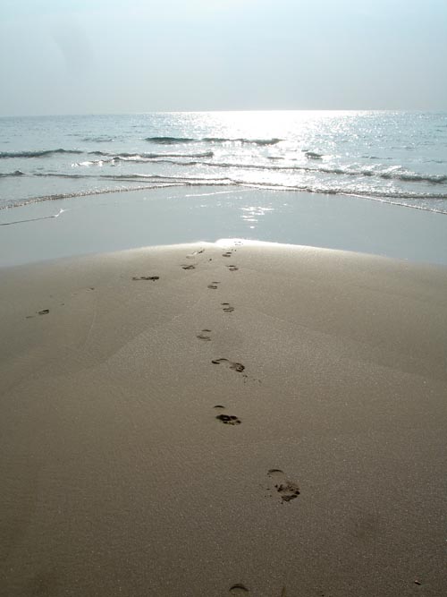 [kemikaalicocktail_jalanjaljethiekassa.jpg]