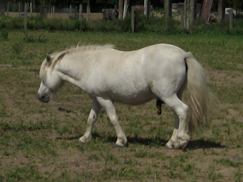 [k_luomutilaheppa.jpg]