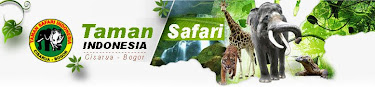 Fisit taman safari Indonesia