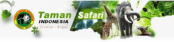 Taman safari Indonesia