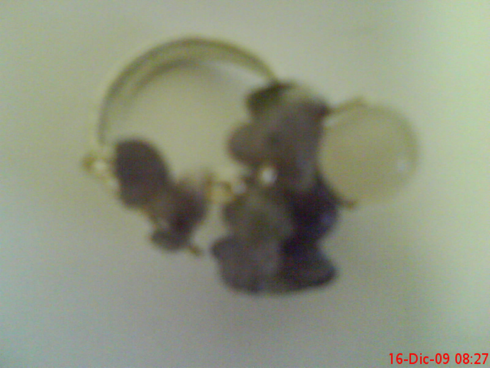 [DSC01155.JPG]