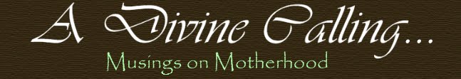 A Divine Calling...Musings on Motherhood