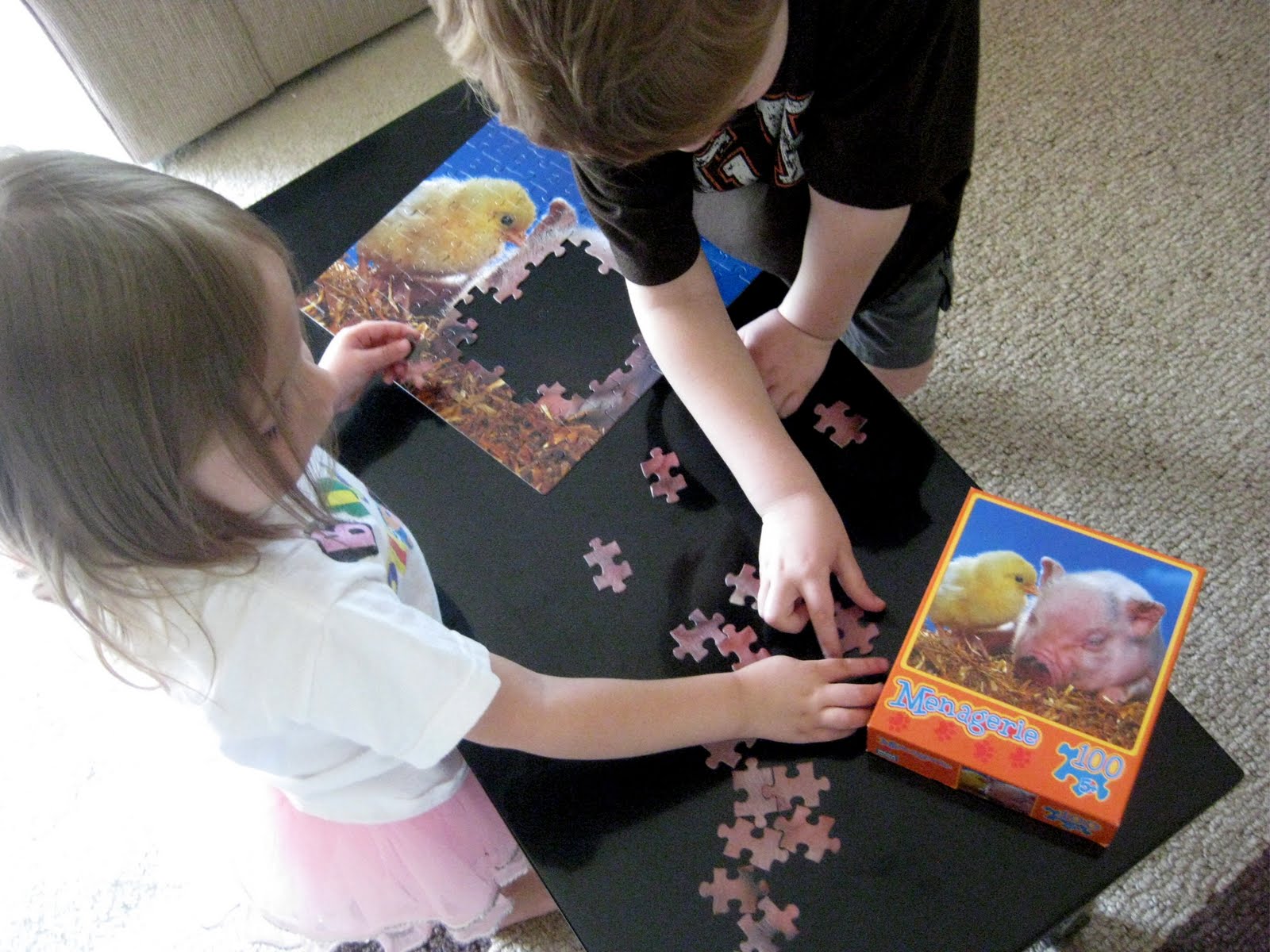 This Little Project: Happy 100th Day of the Year!