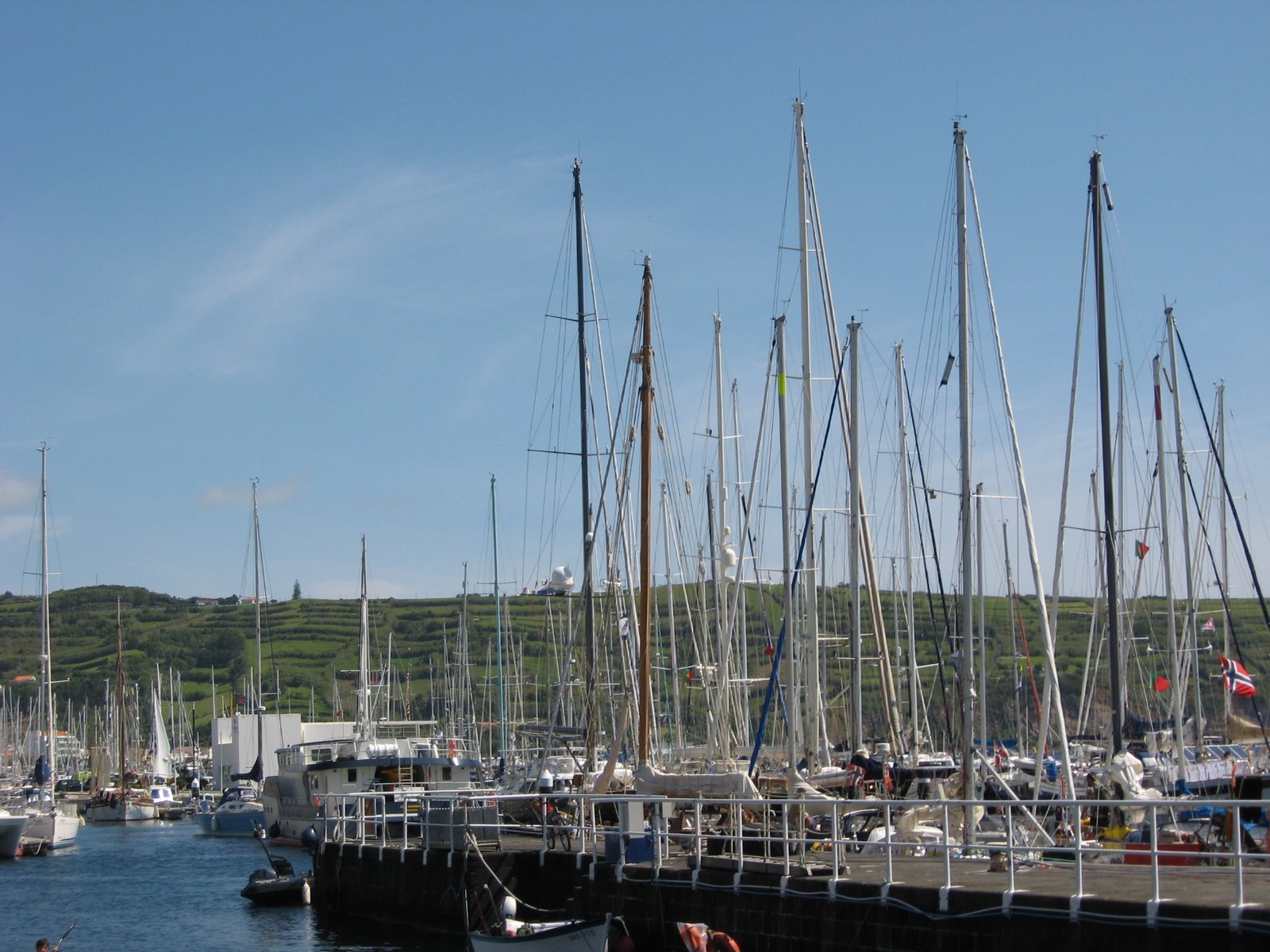 [marinatorrinhas_018.JPG]