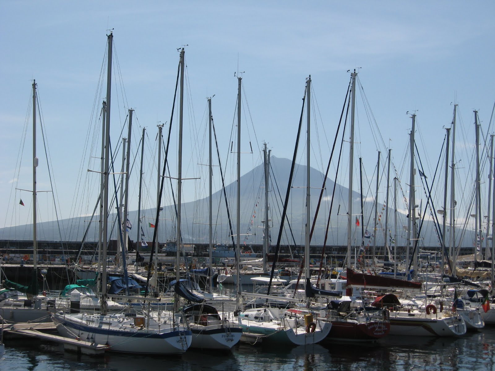 [marinatorrinhas_014.JPG]
