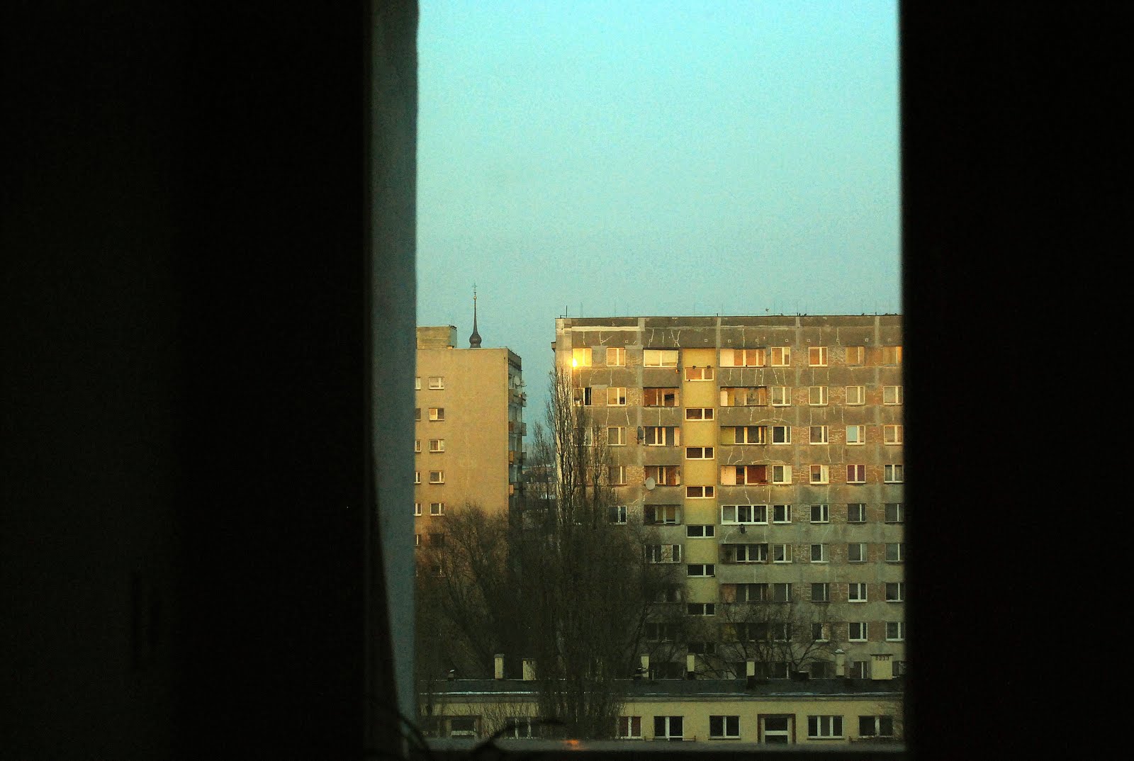 [DSC_0010.JPG]