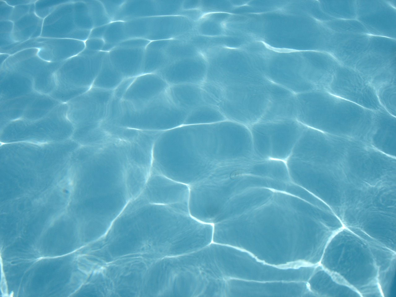 [DSC06793.JPG]