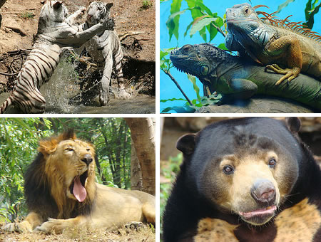 Zoo Park