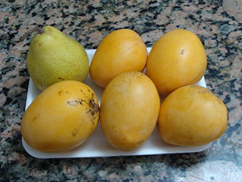 [350px-Mangos_criollos_y_pera.JPG]