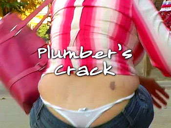 [20051115_203_350x263.jpg]