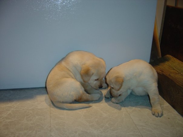 [n560710497_2802089_3414609.jpg]