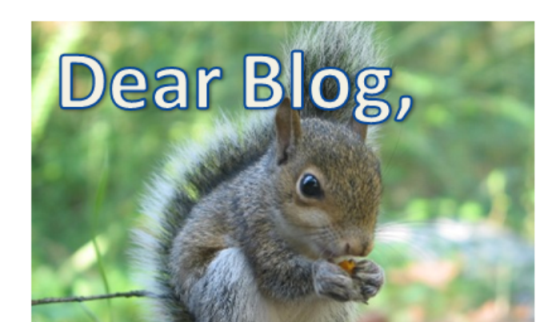 Dear Blog,