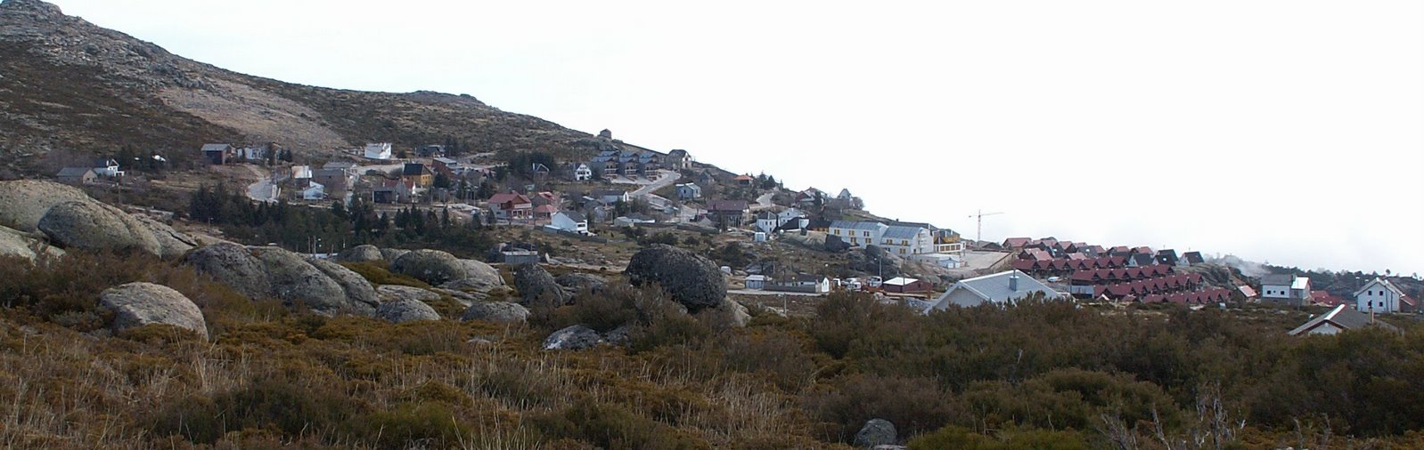 [PICT0061.JPG]