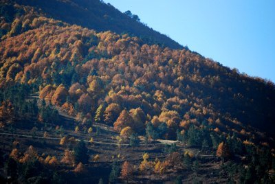 [DSC_0044.JPG]