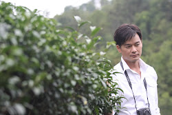 Visit our organic green tea farm (click the photo)