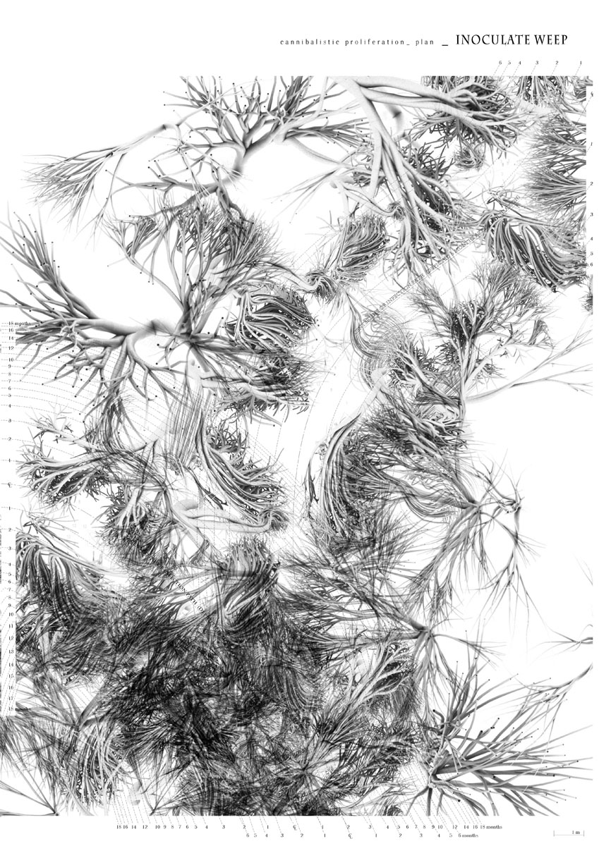 [2009.10.11_FinalProjection_Page_08.jpg]