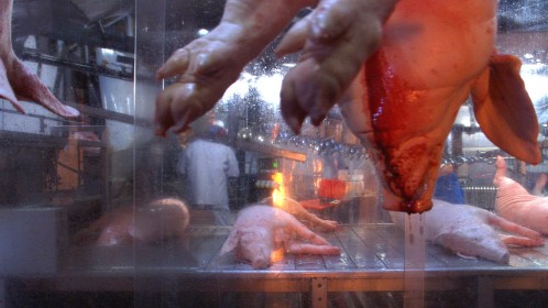 [ourdailybread2.jpeg]