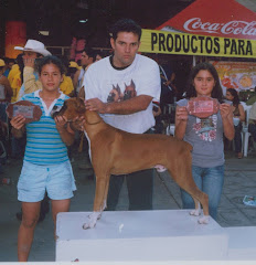 Junior gana grupo cachorro y adulto en la feria de bucaramanga sep-06