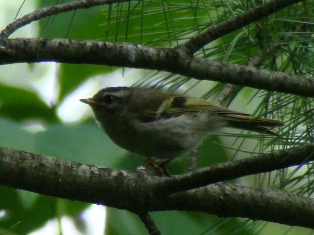 [DSC02580.JPG]