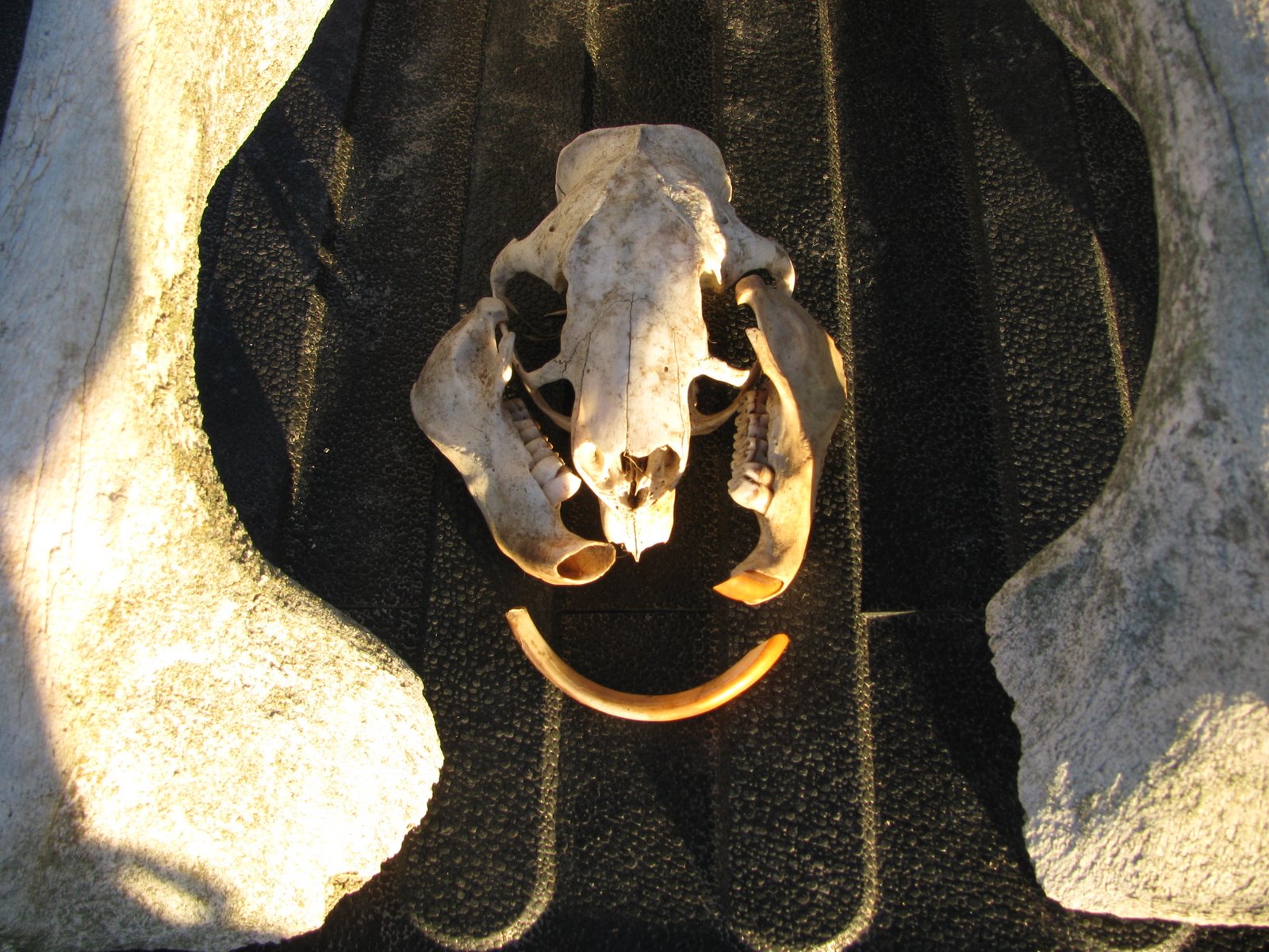 [IMG_0760[1]]